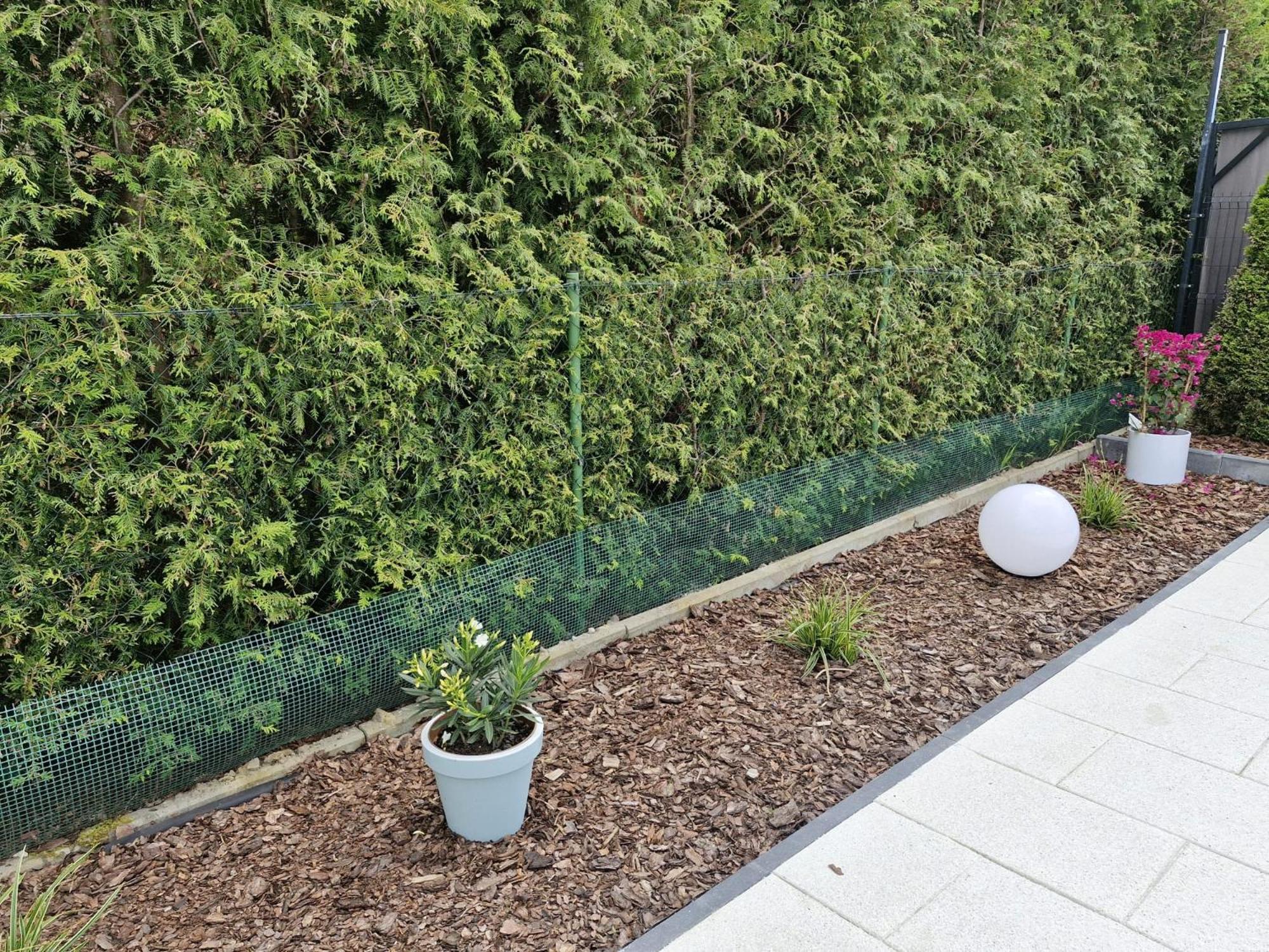 A&M Apartamenty Lukecin Exterior foto